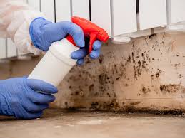 Professional Mold Prevention & Removal  in Trainer, PA